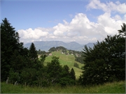 Walter 08.07.08-02.01.200917